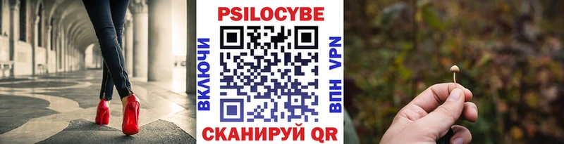 Галлюциногенные грибы Psilocybe купить цена Кострома
